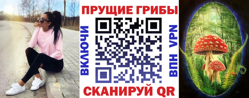 Галлюциногенные грибы Psilocybine cubensis  Купить закладки  Нерюнгри 